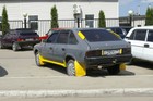  IGP2909