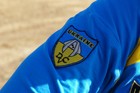  IGP3029